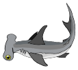 hammerhead shark