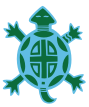 native american turtle