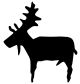 petroglyph moose