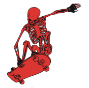 skateboard skeleton