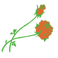 rosebud 