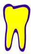 dentist tooth teeth