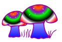 psycadelic mushroom