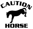 caution horse