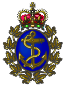 navy badge