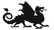 dragon emblem