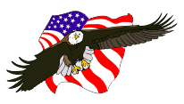 eagle and flags